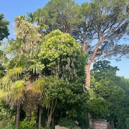 Villa 5 Stanze Nella Dei Sogni Terni